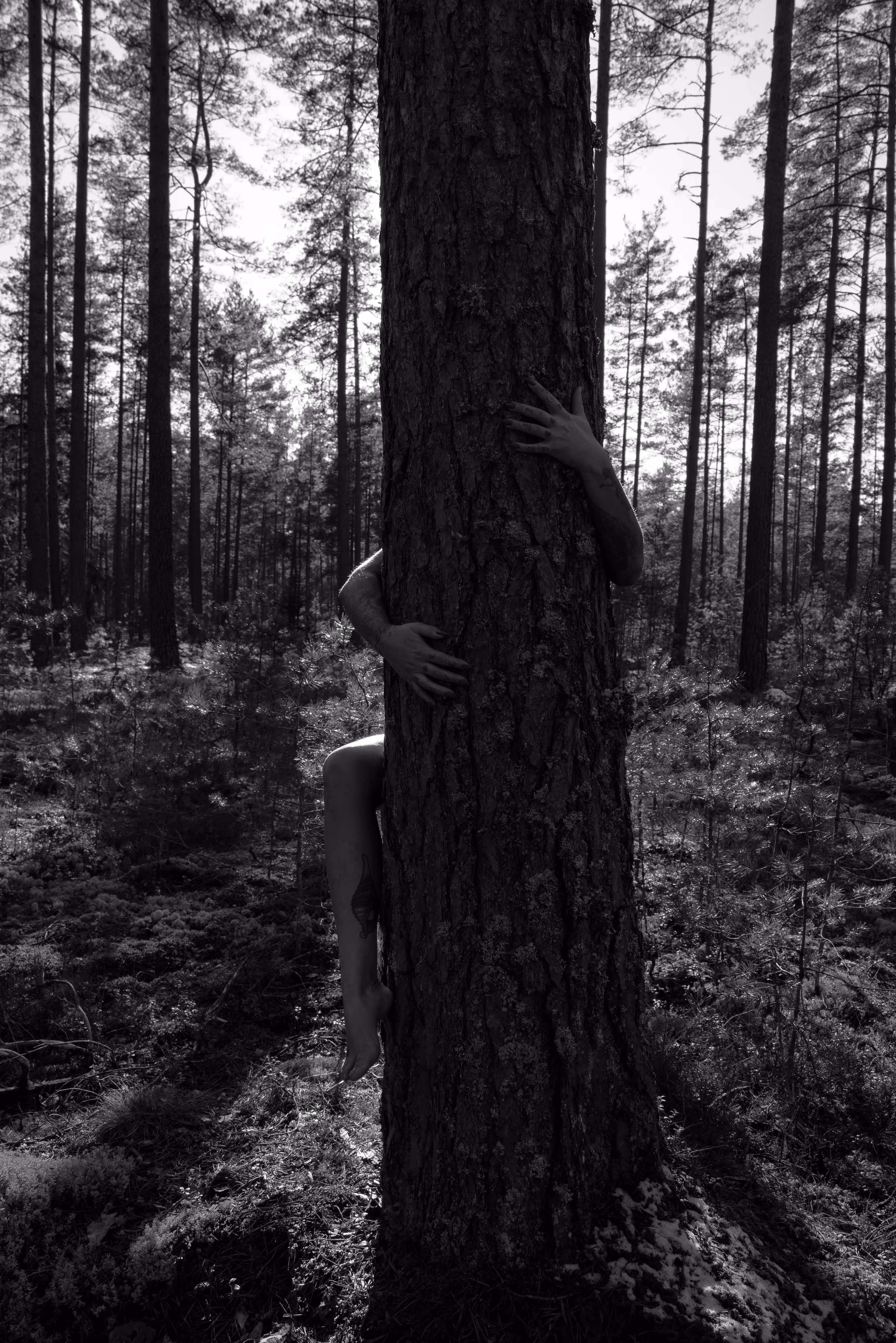 Touch