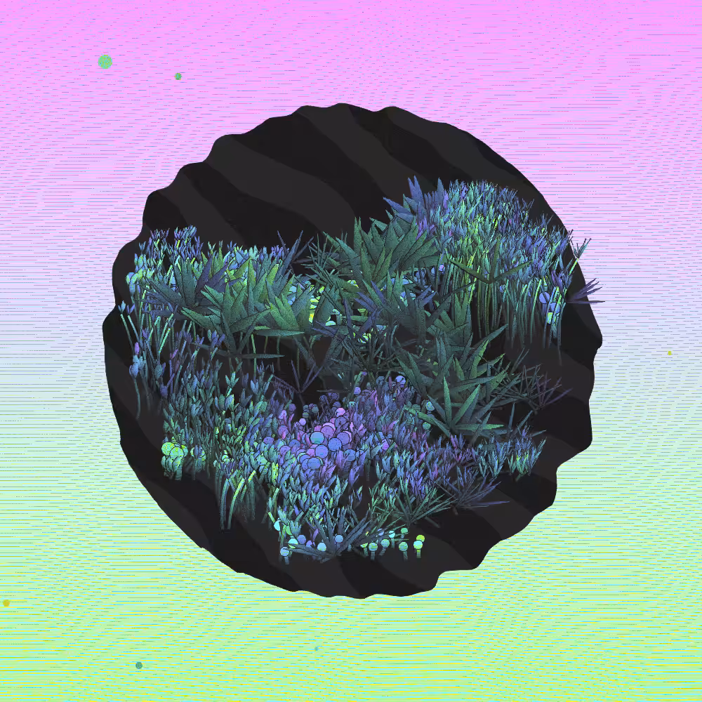 A Gift of Nature #215