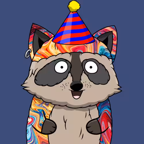 Raccoon #307