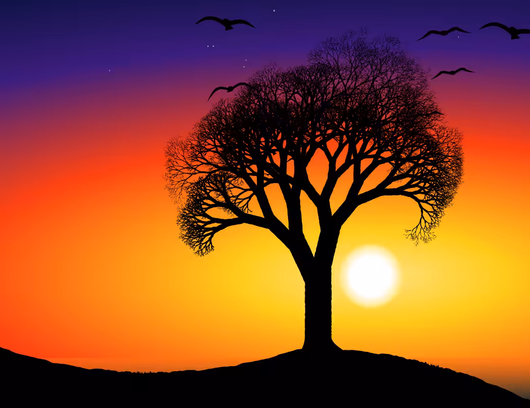 This Tree #21