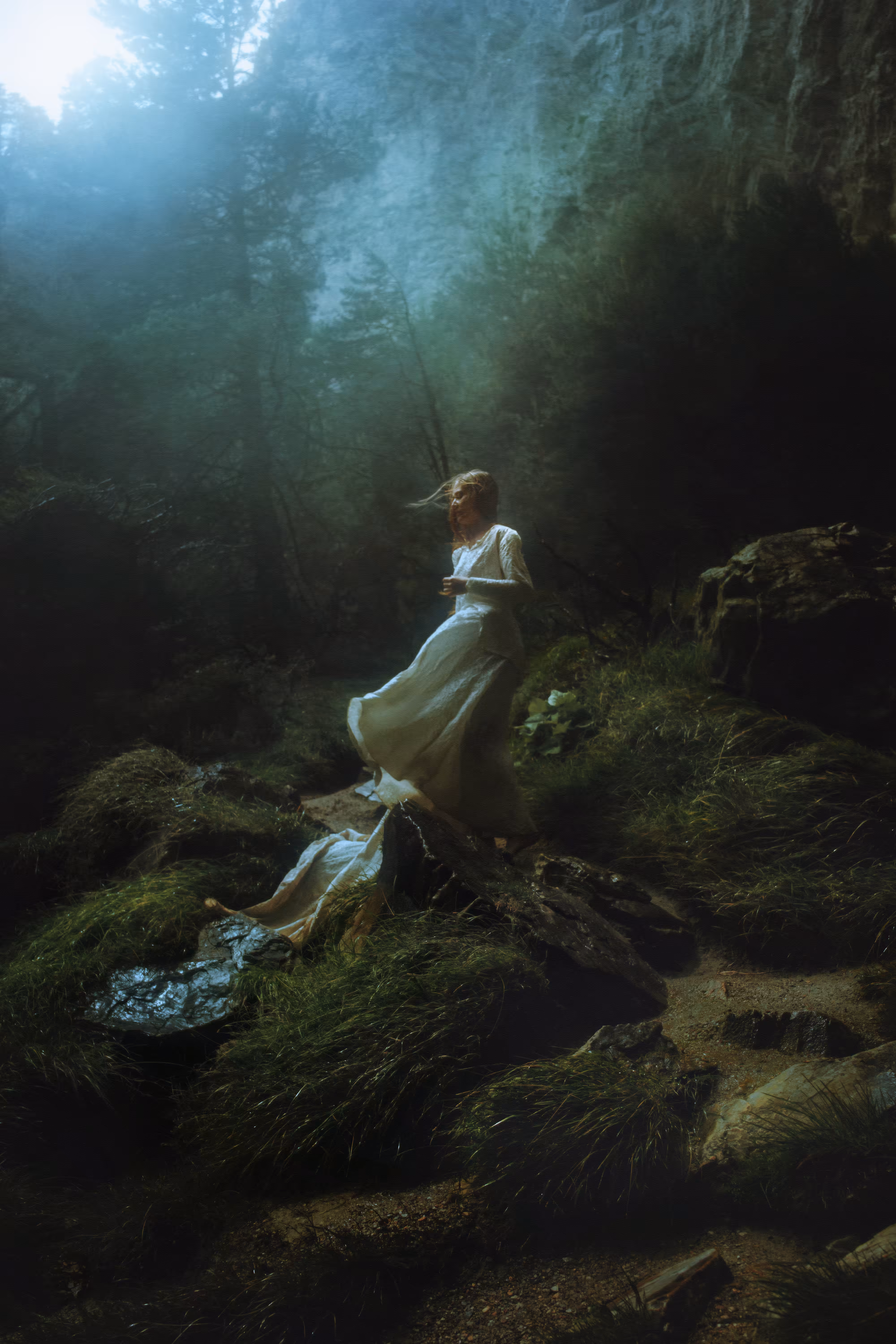 Windswept Wanderer