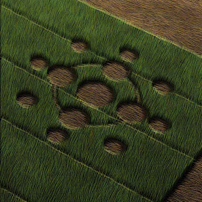 Crop Circles #36