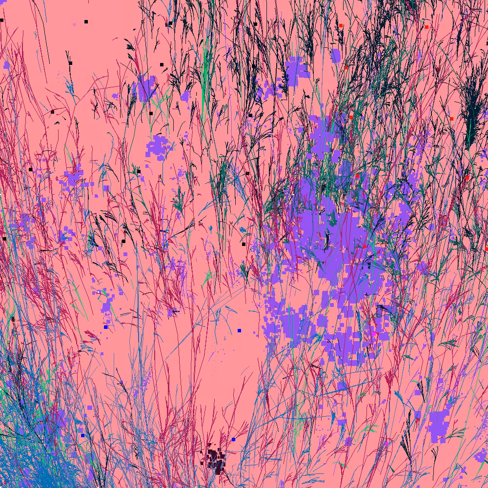 Infinite Garden: 16493 Flowers