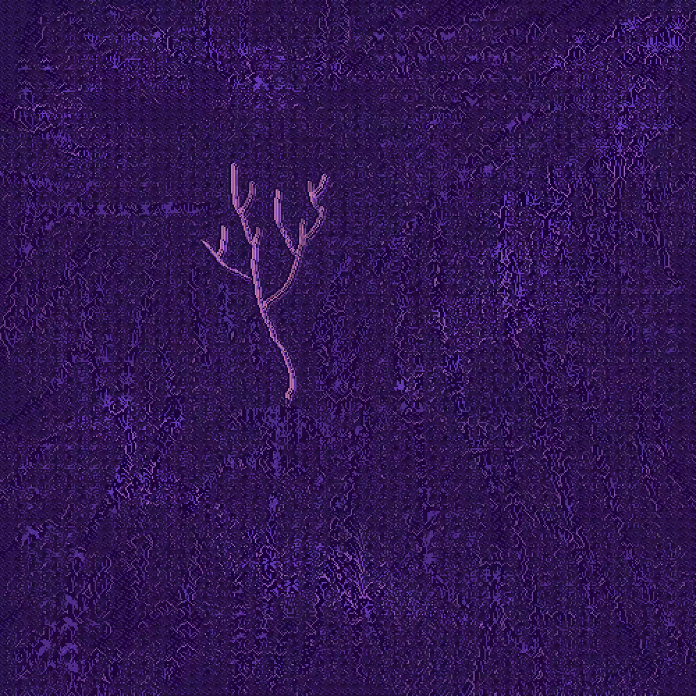 Dry