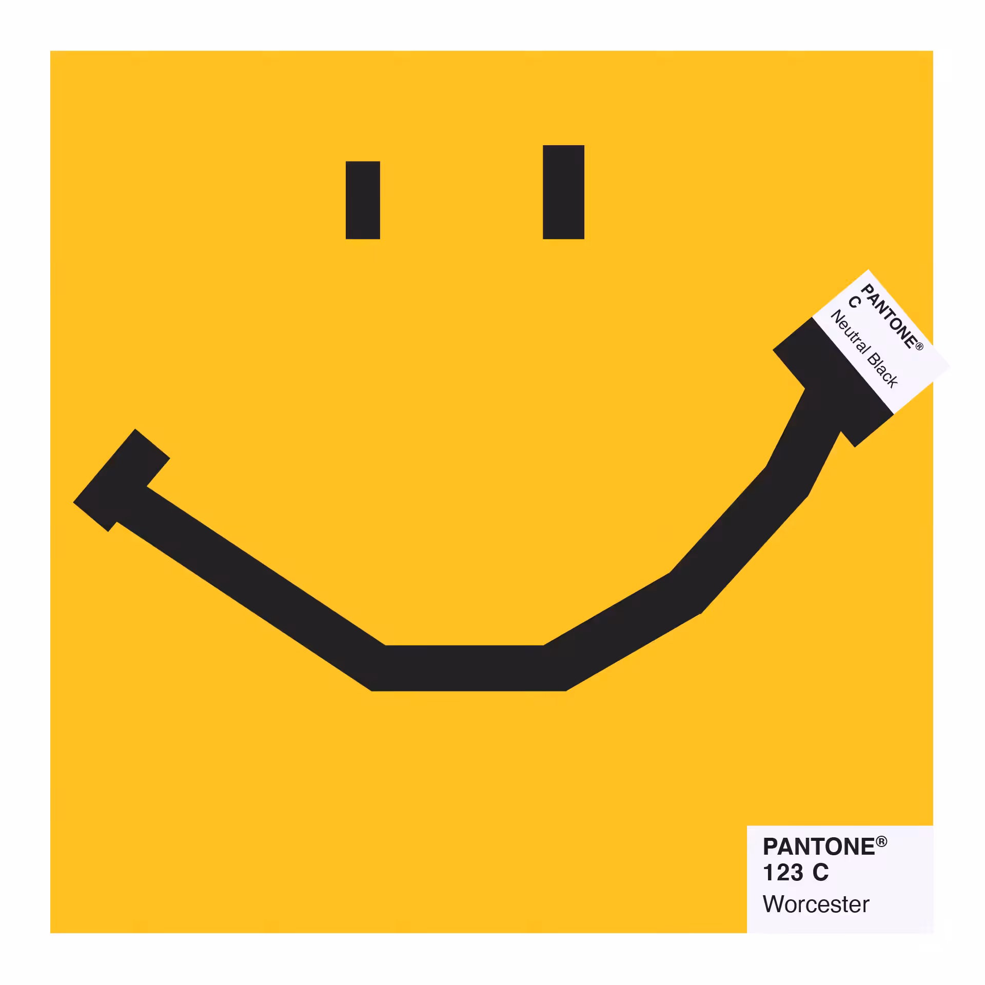 Worcester Smile