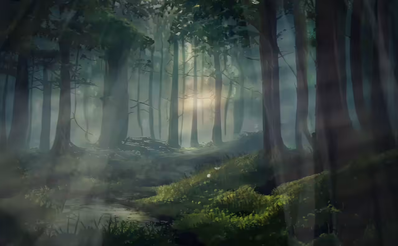 The Magic forest