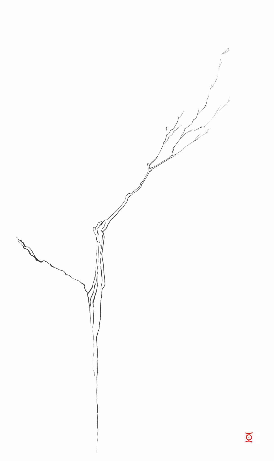 Landscape 9