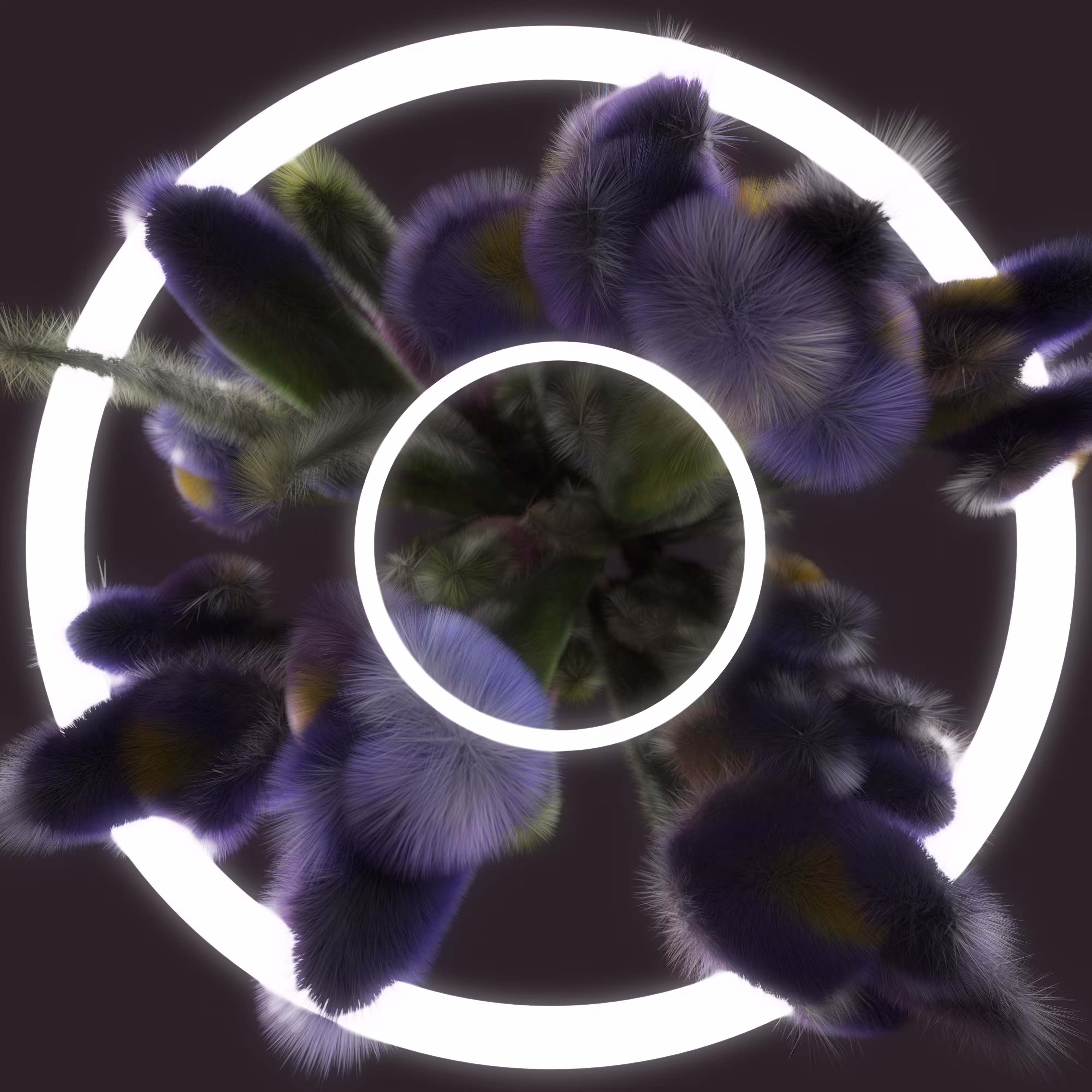 Derivative of Iris