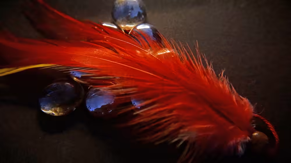 Feathers of Stone II
