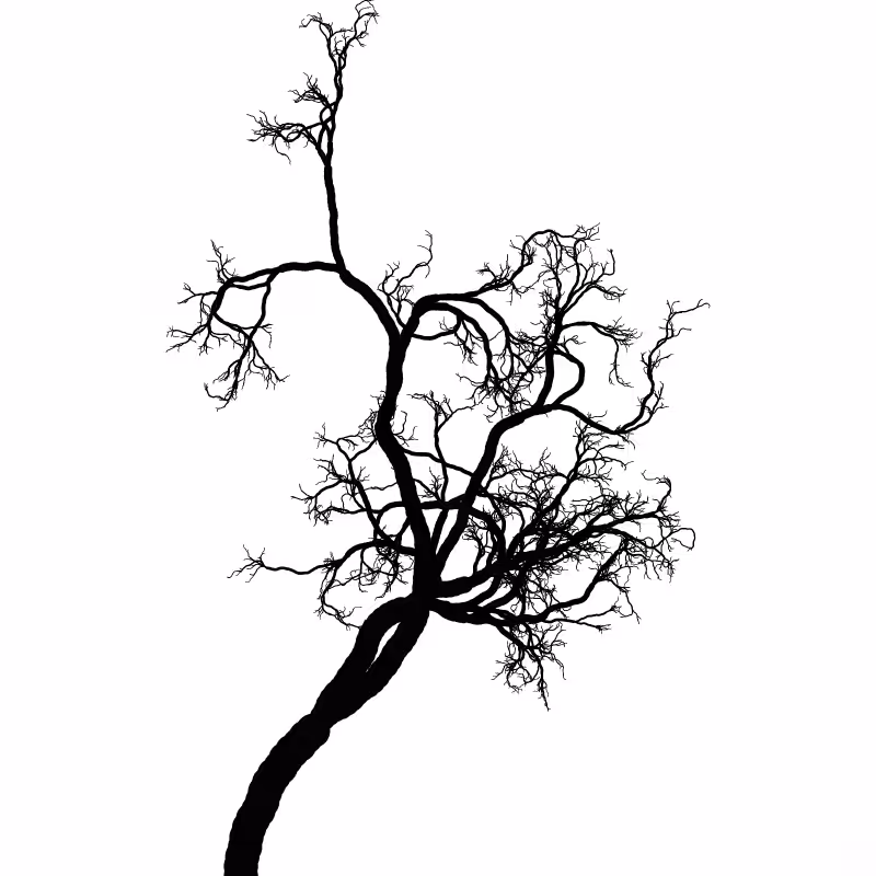 Tree 01 #111