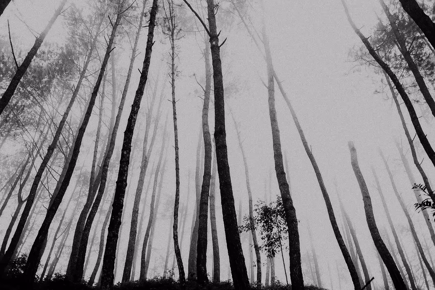 Lost in the dark [2]