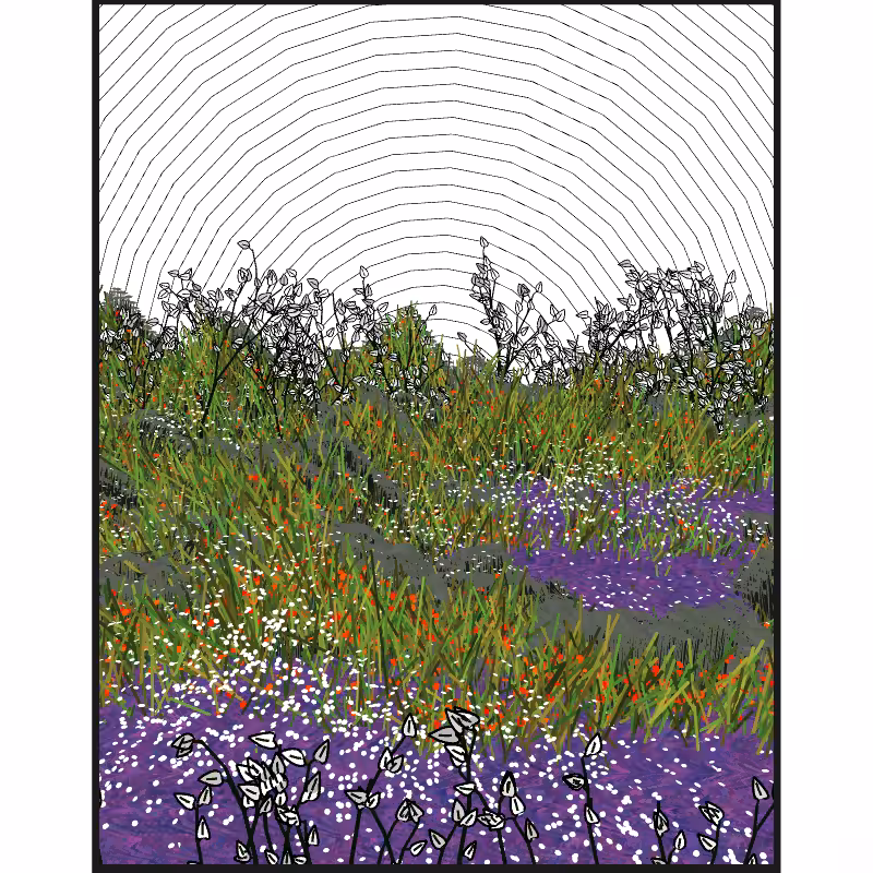 Contours #81