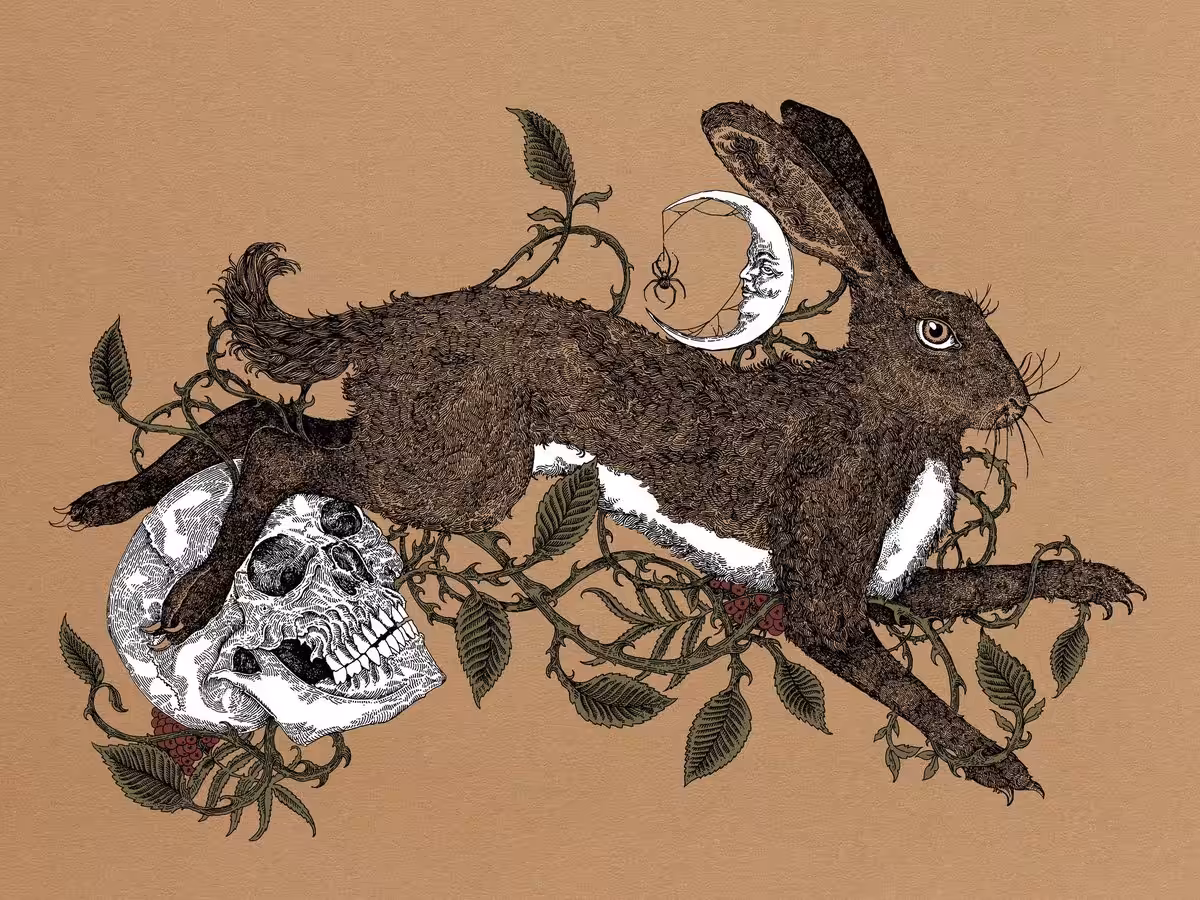 The Hare