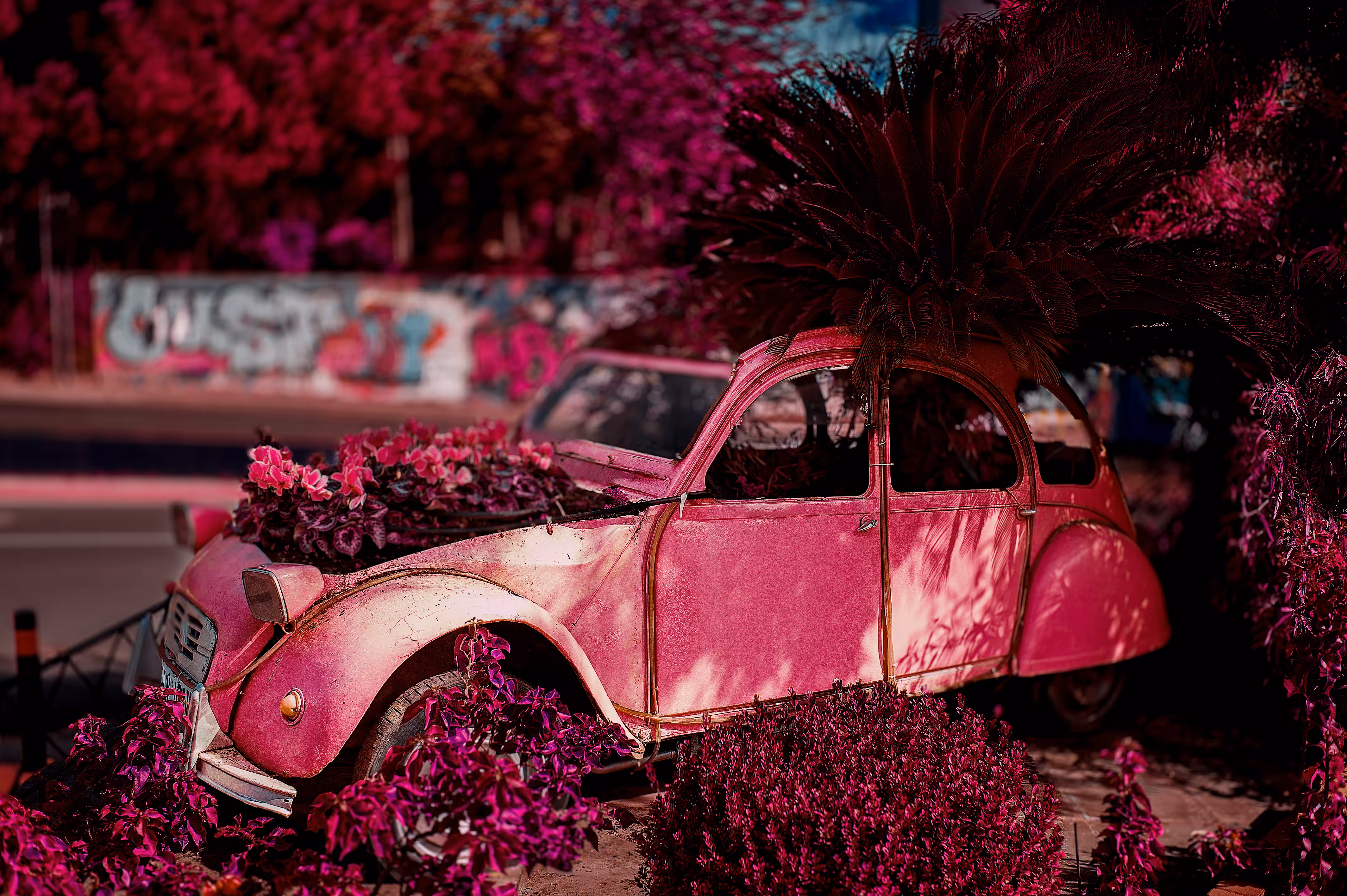 Pretty in Pink