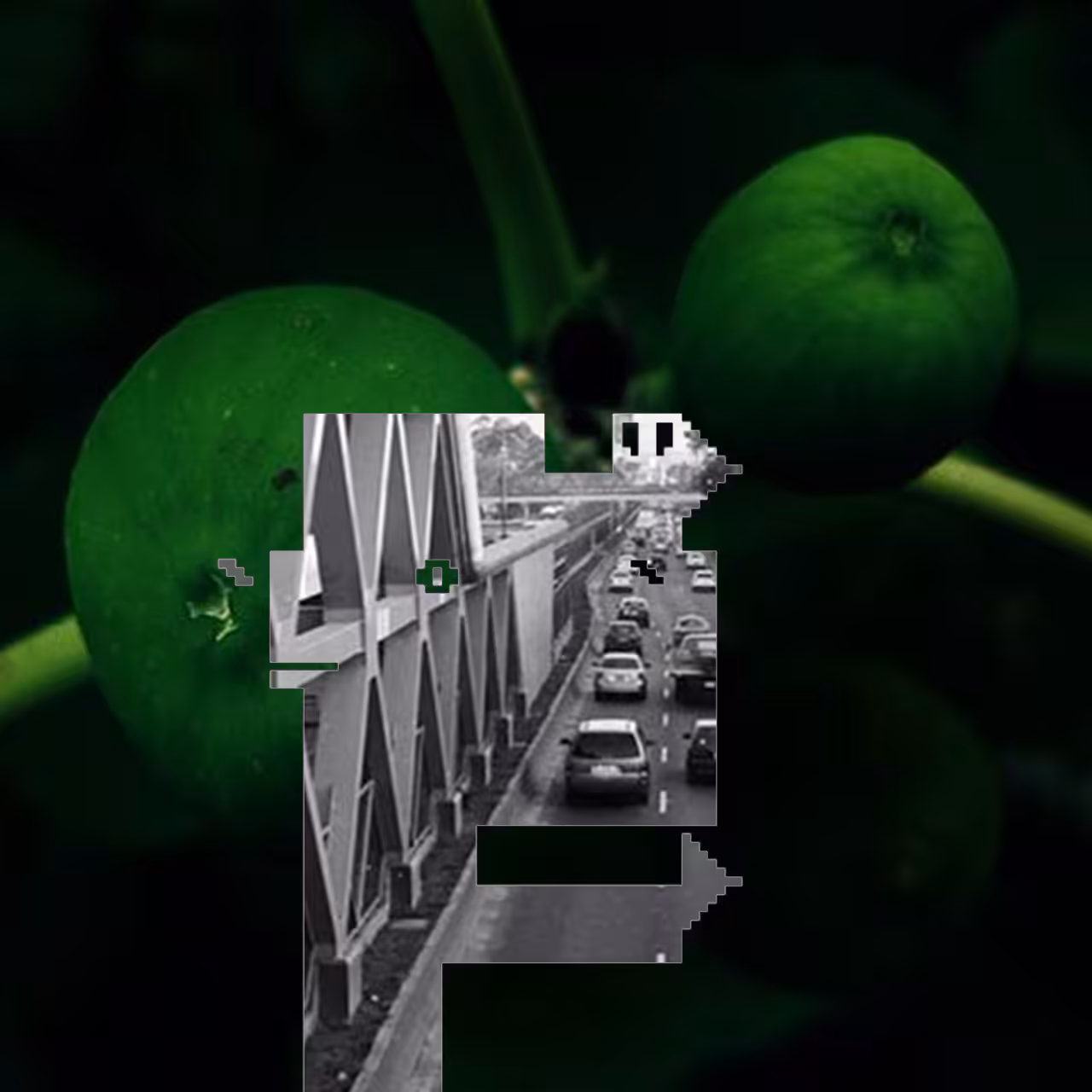 PhotoDOSpunk #39