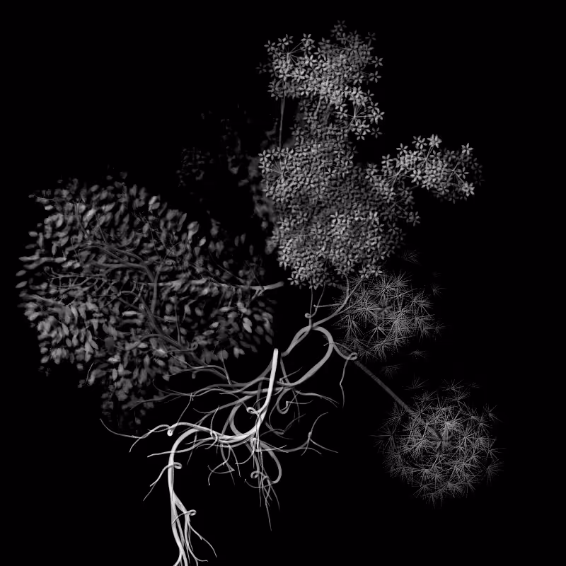 Botanical Ghosts #343