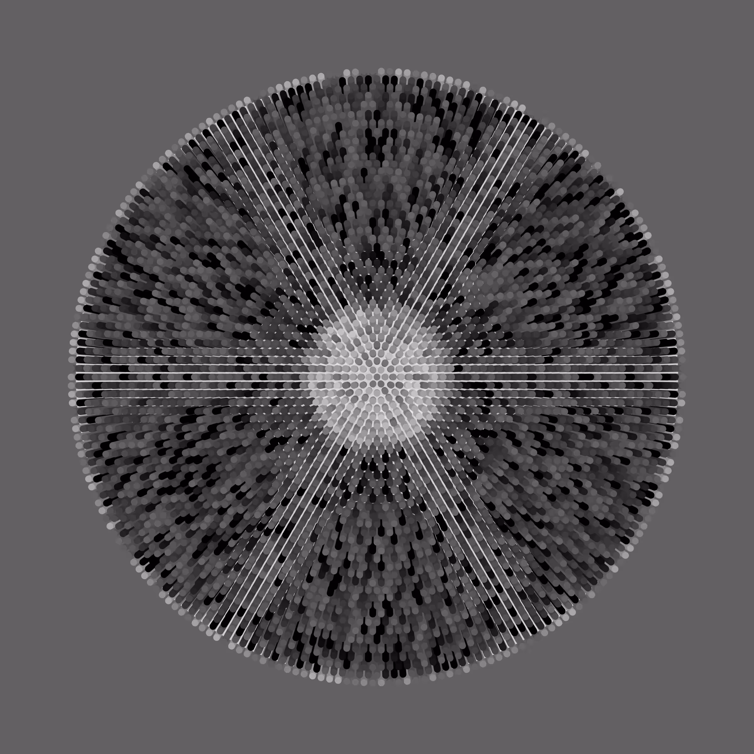 Transitions #4041