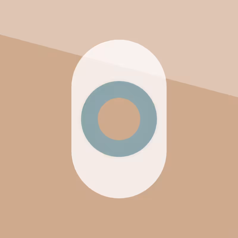 Capsule #84