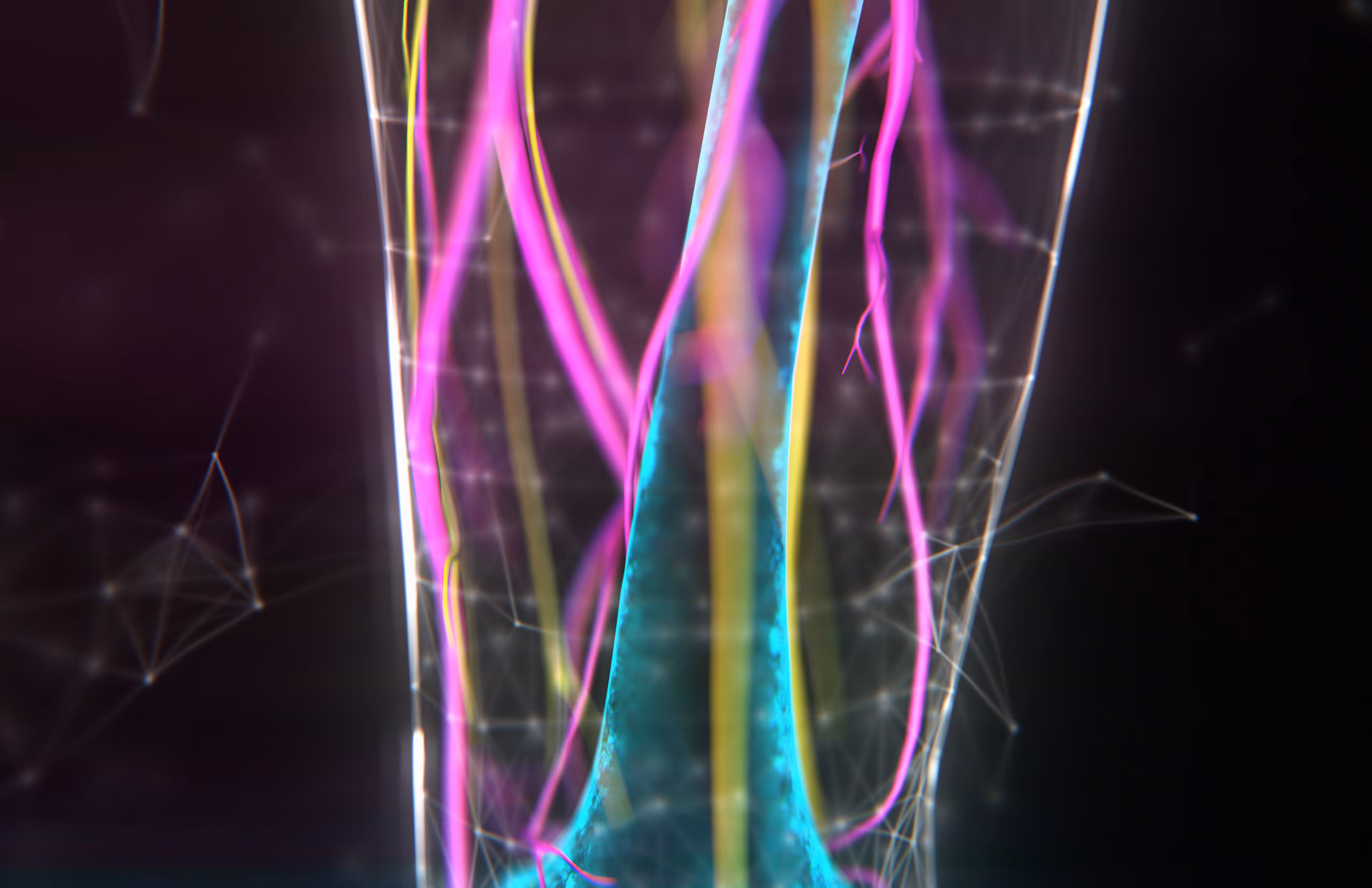 F_femur_L_02_RGB