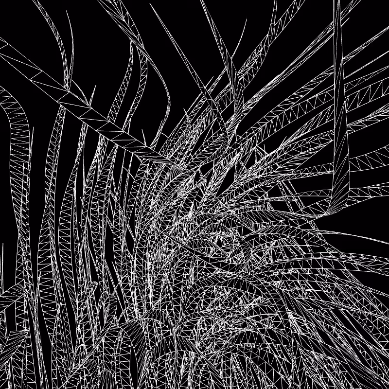 Paths of life #126