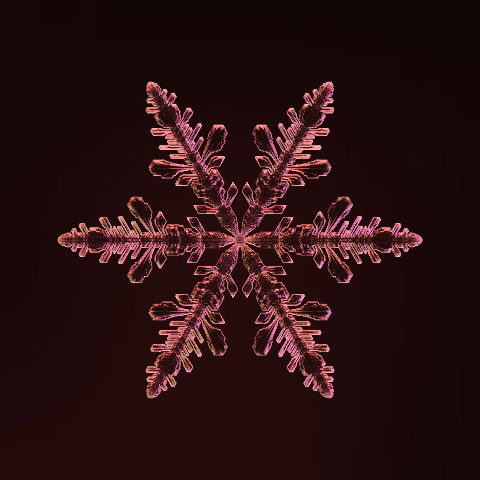 Symmetry and Intricacy #26