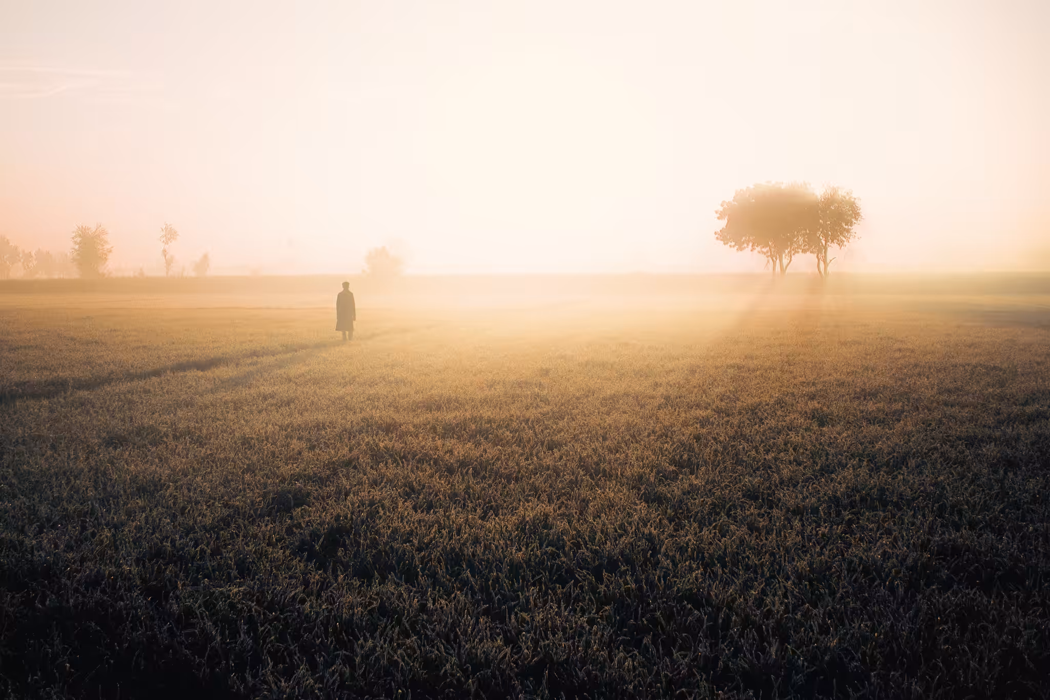 Into the Light