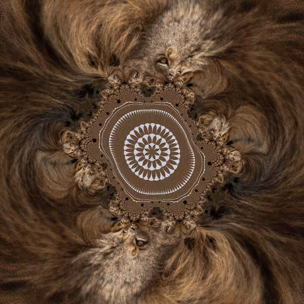 Fringe Mathematics
