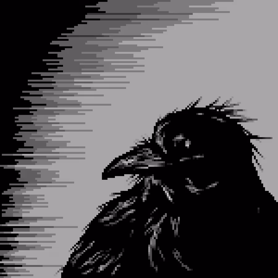 Raven