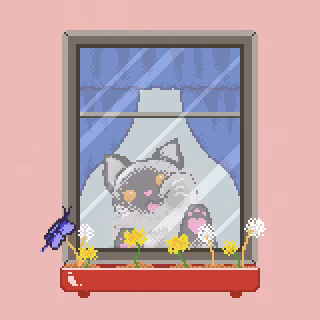 Window Catz #5