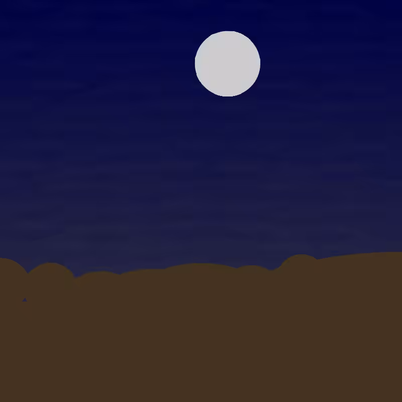 Dunes #20