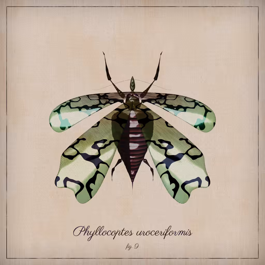 ProcGen Entomology #376
