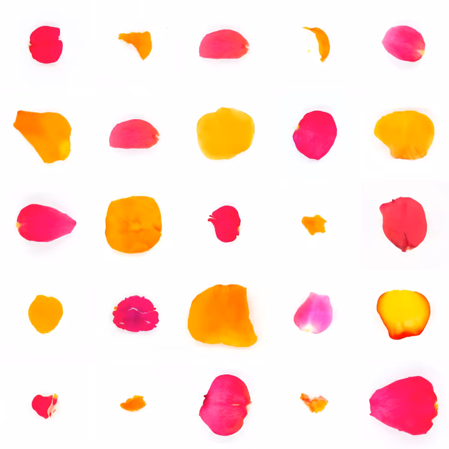 Infinite Petals 5x5#1235