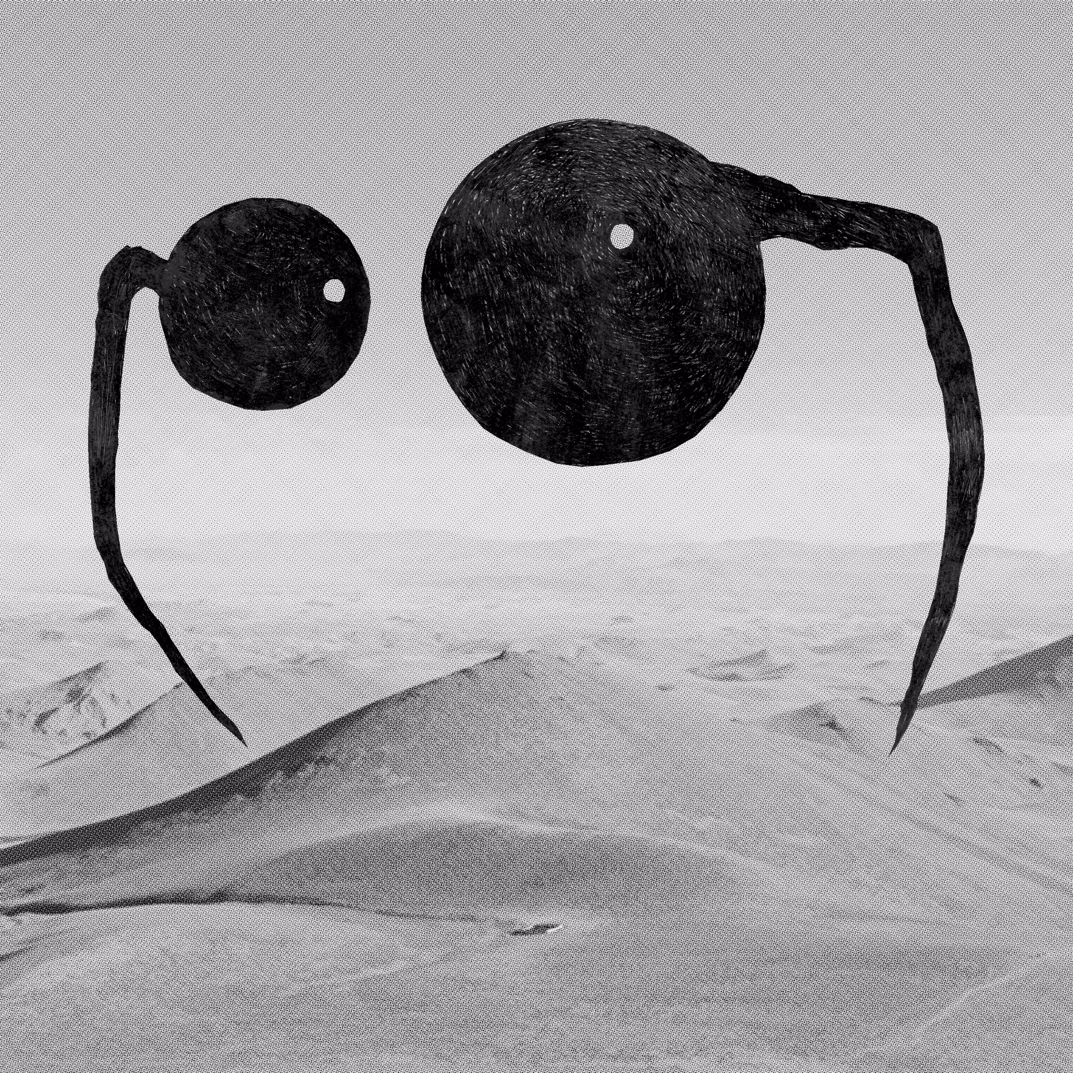 A catalogue of silence: 16
