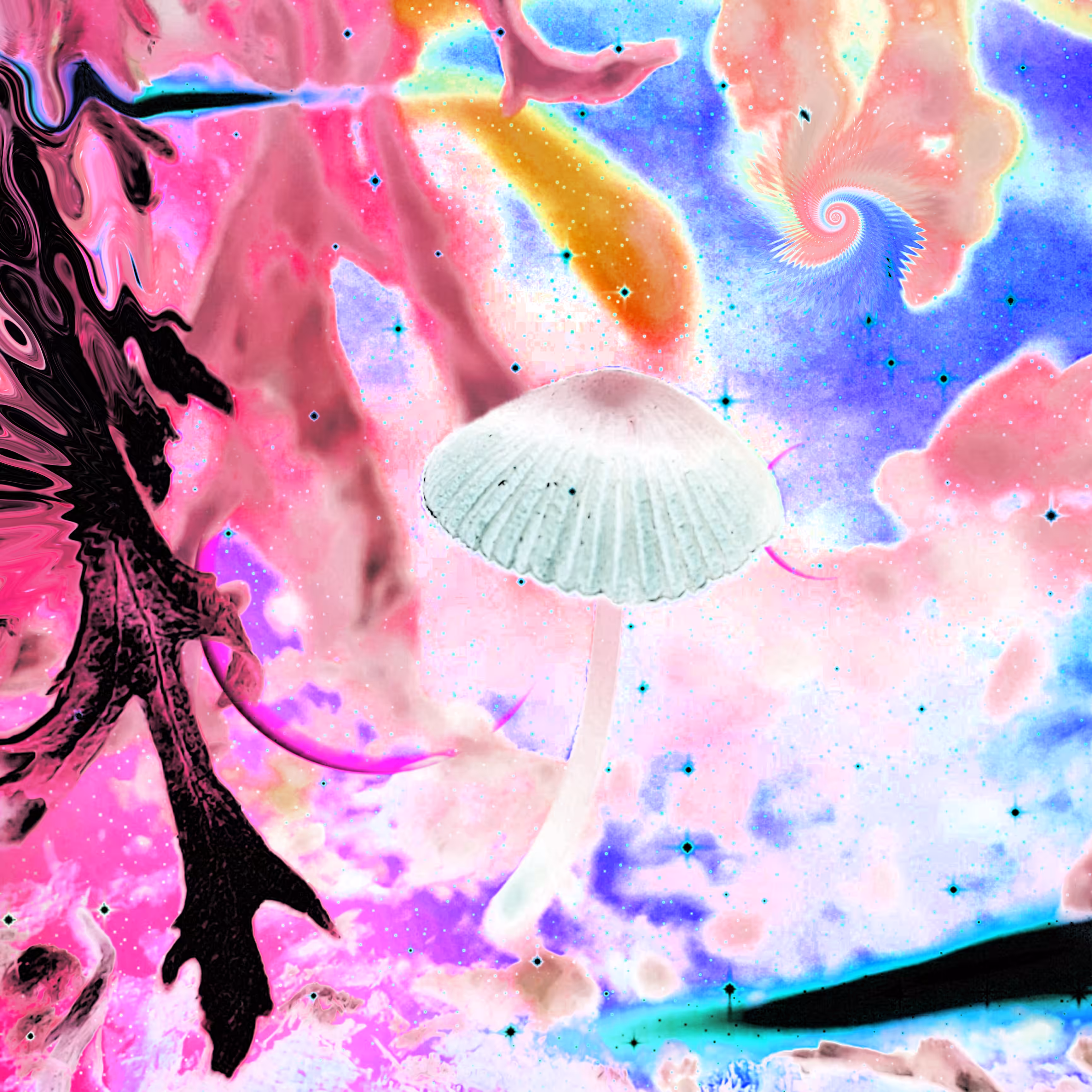 FUNGΔL TRiP