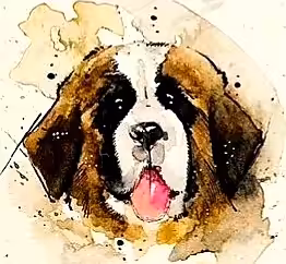 ODs#011 Saint Bernard