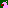 White Bird#6