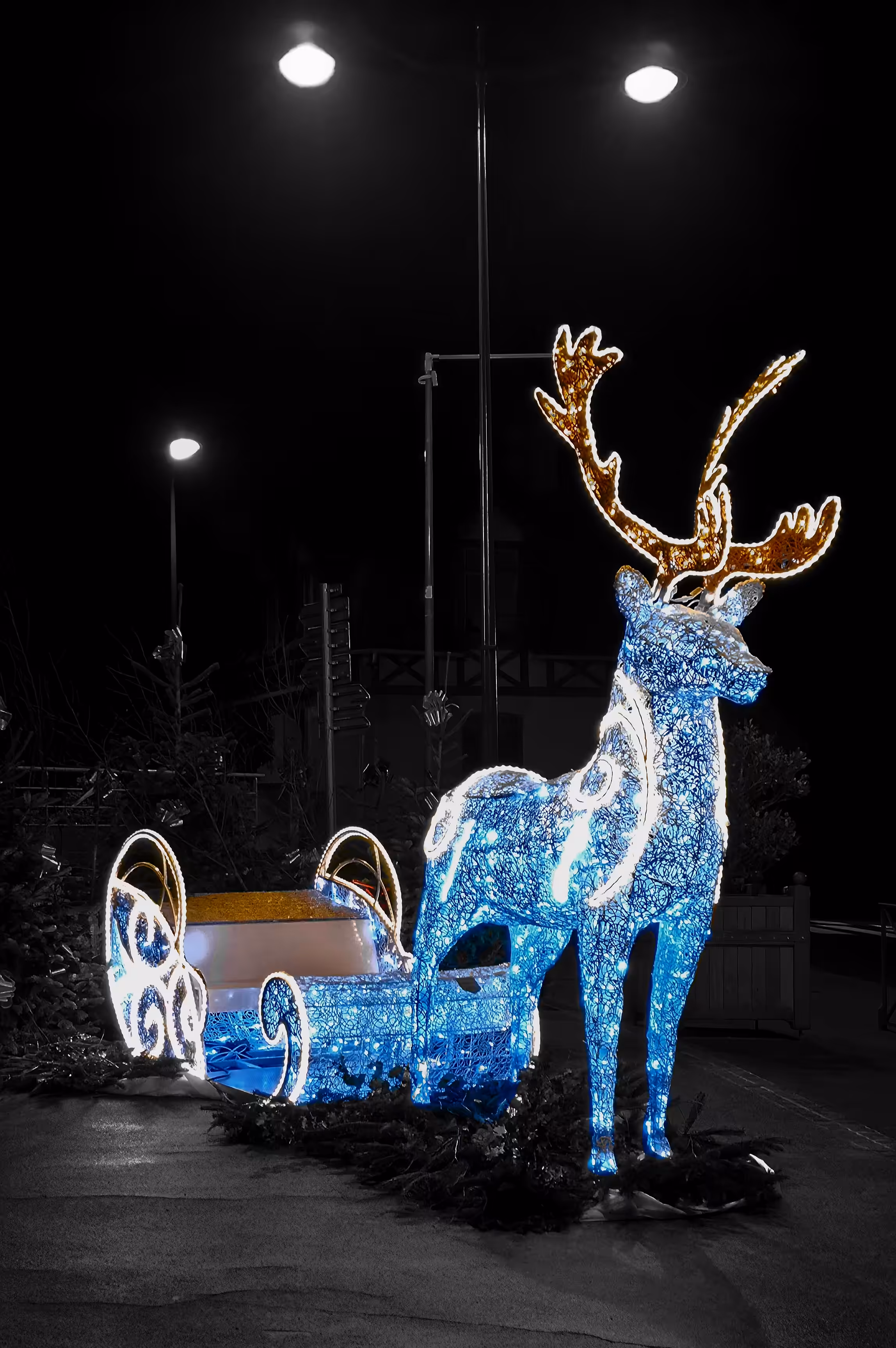 The Last Sleigh Before Dawn
