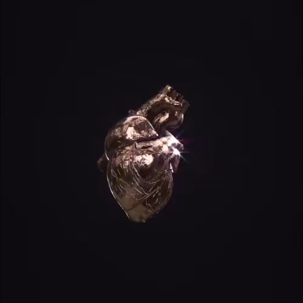 Heart of a Lost Boy