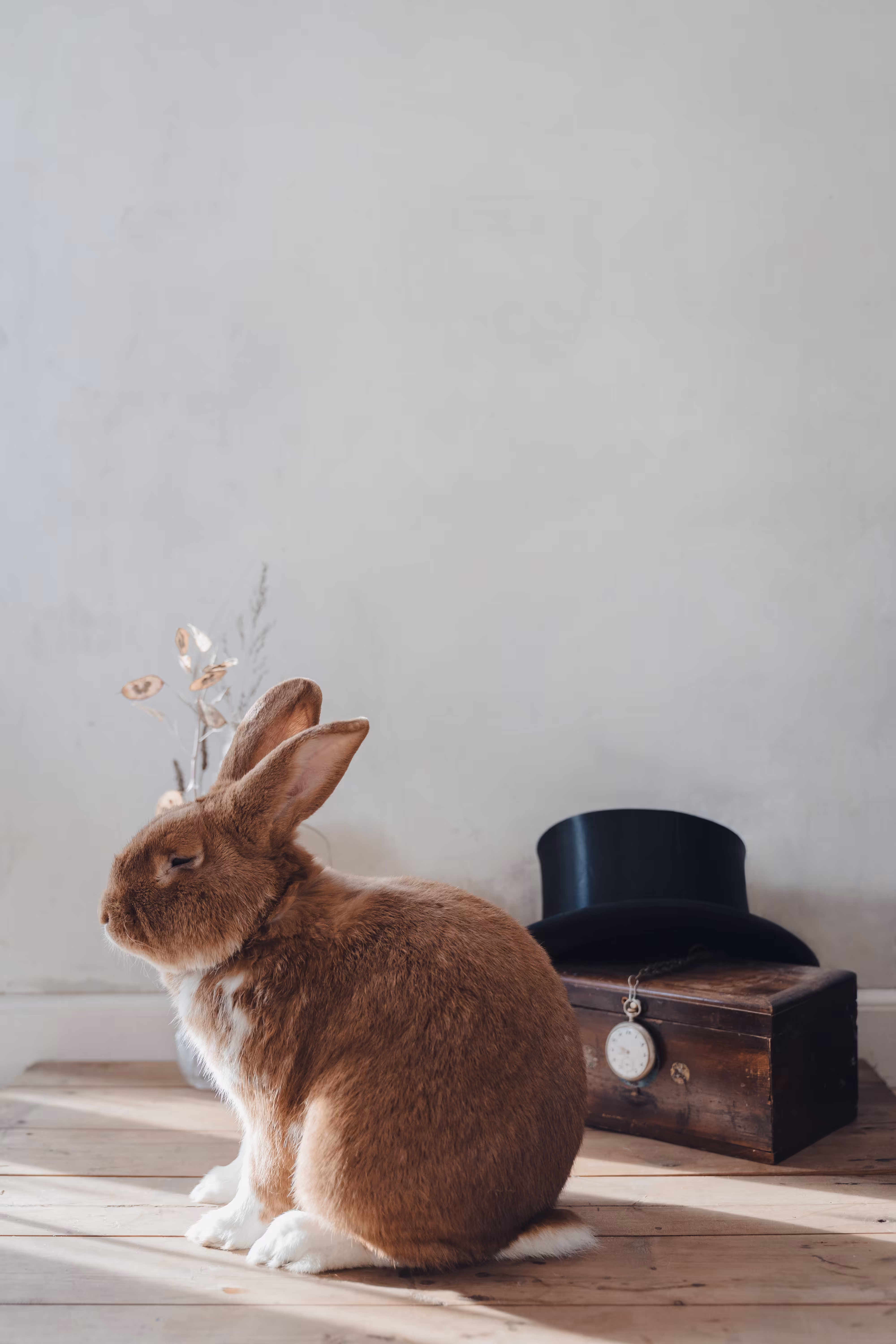 Waiting for Alice