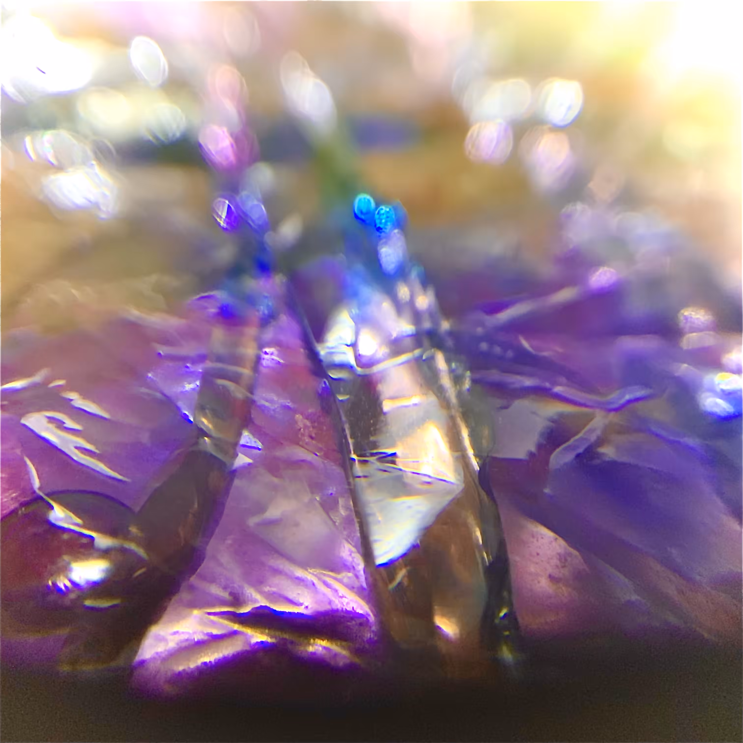 structuralMass 2of5