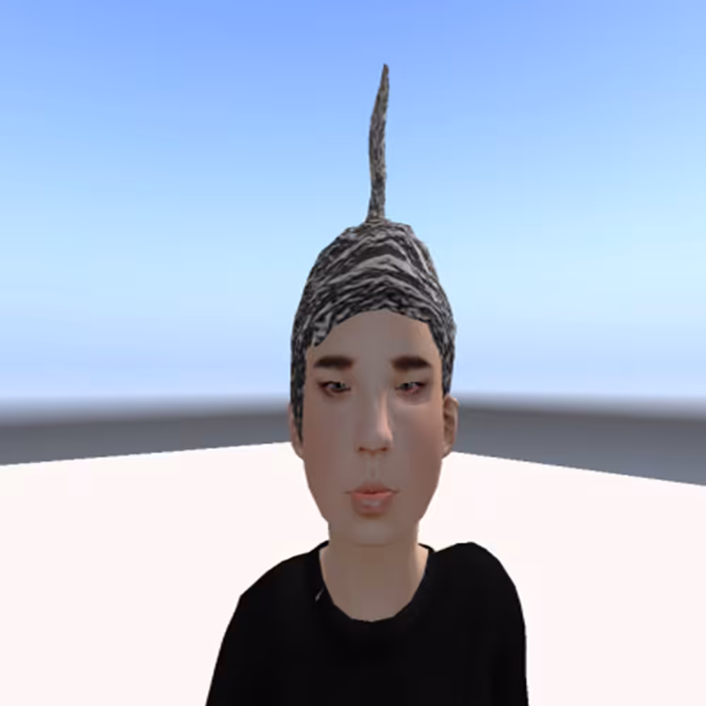 Tin foil hat on in the after life
