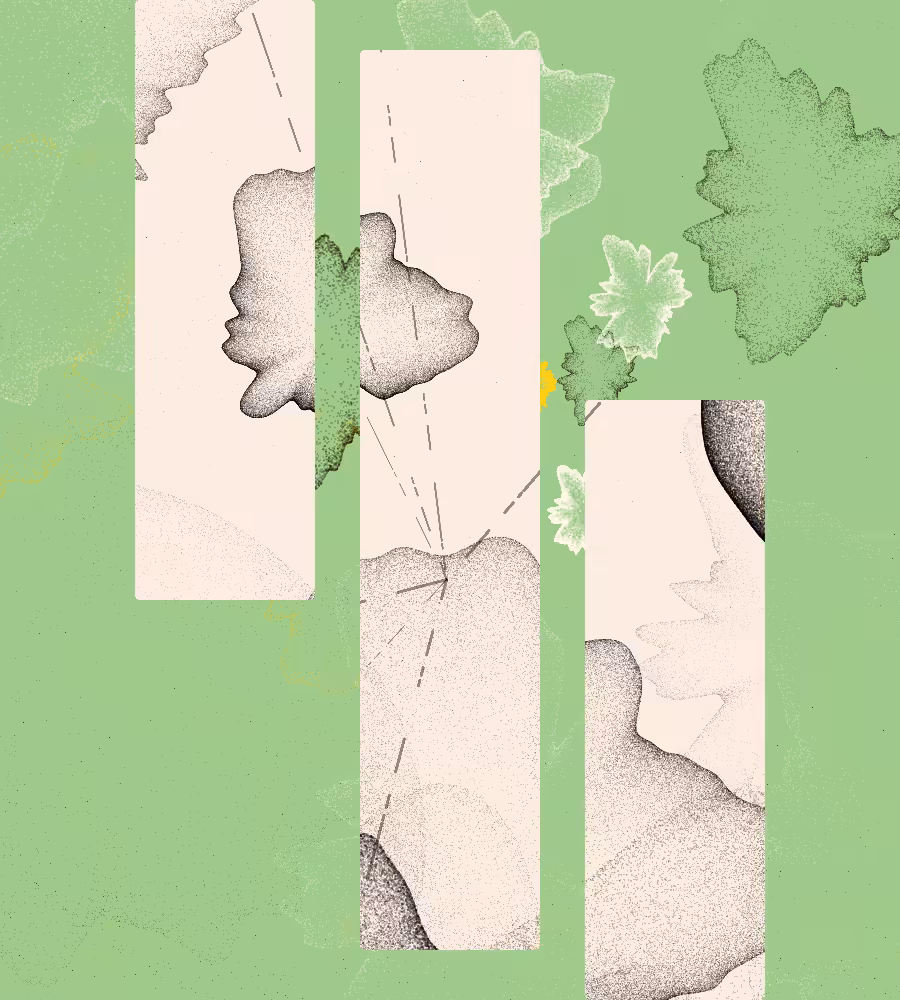 Generacci #71