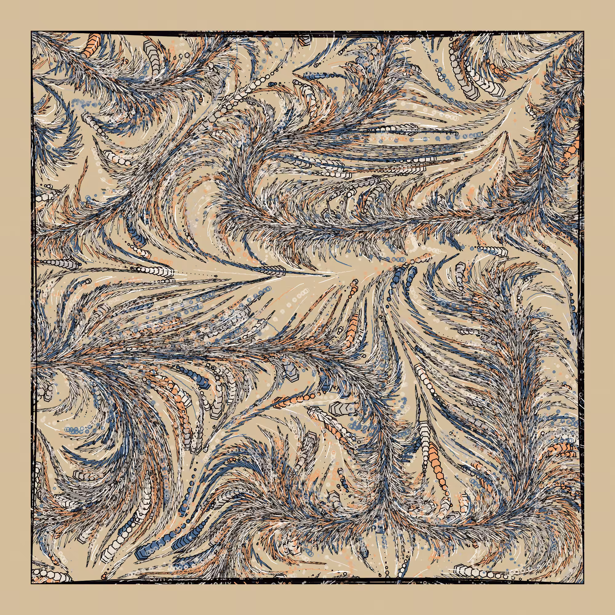 Zephyr #311