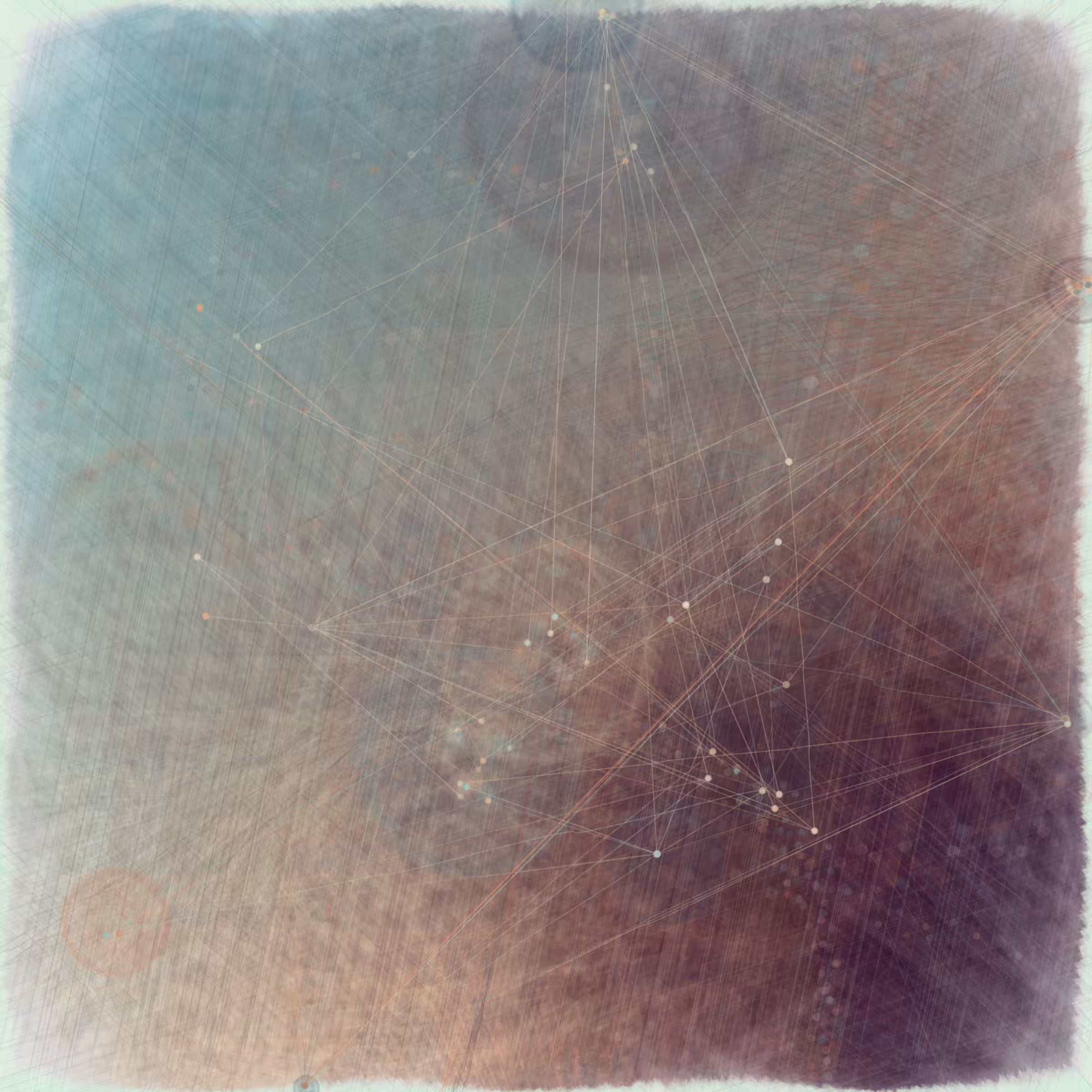 Reticulum