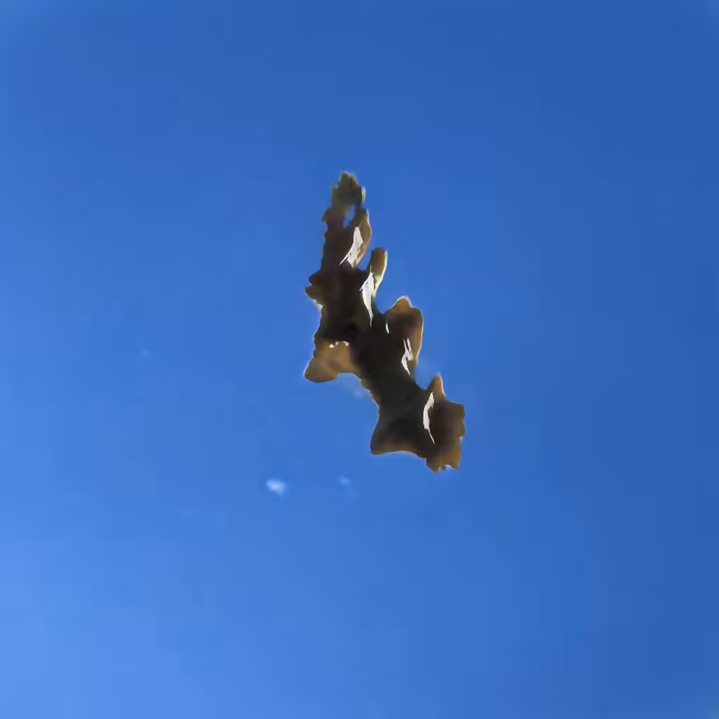 Bones In The Sky Marfa No. 80