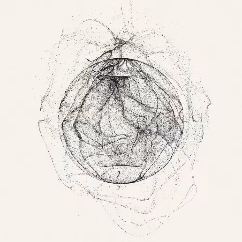 Entangled #6