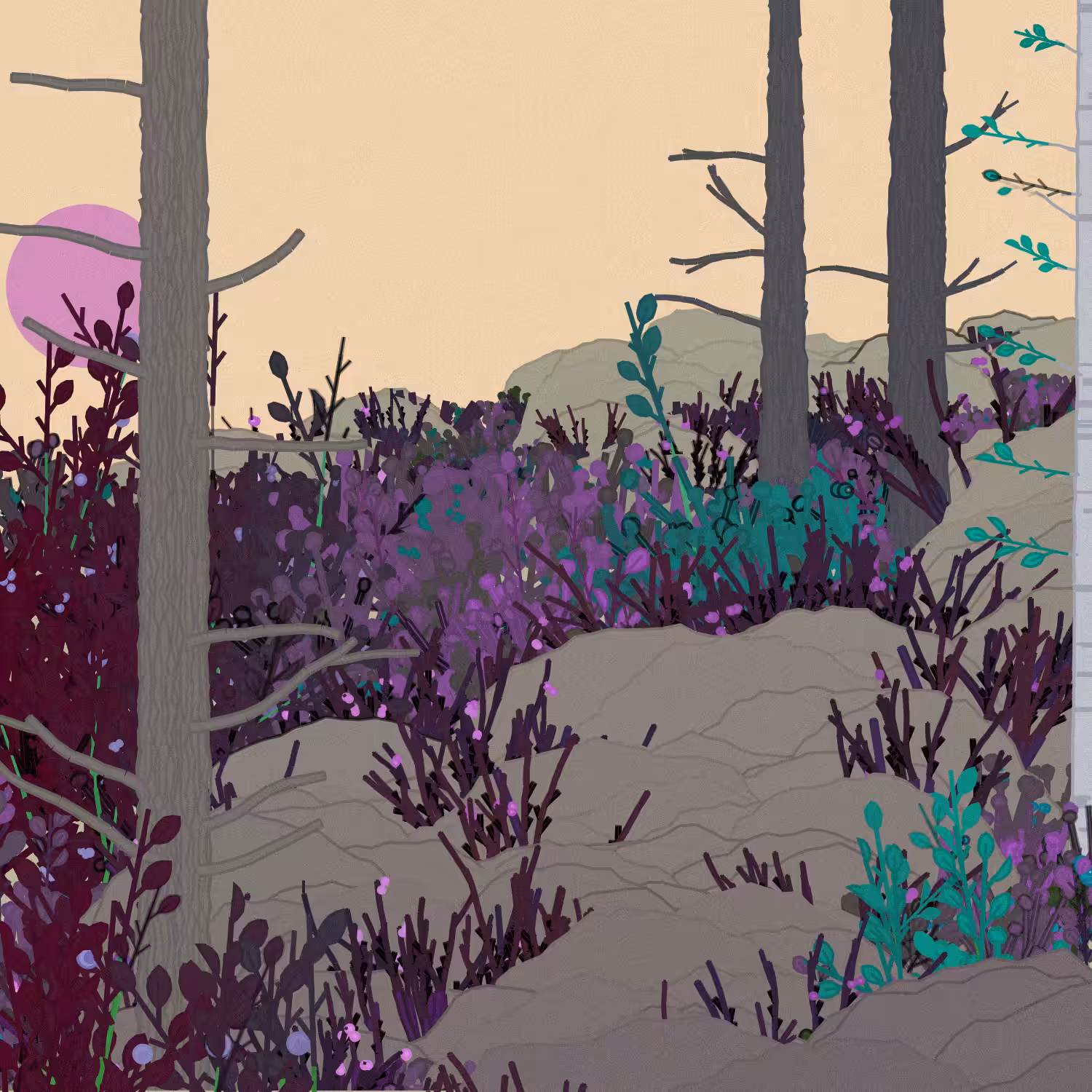 Swedish Forest #255