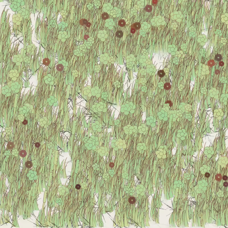 Petri 1500 #132