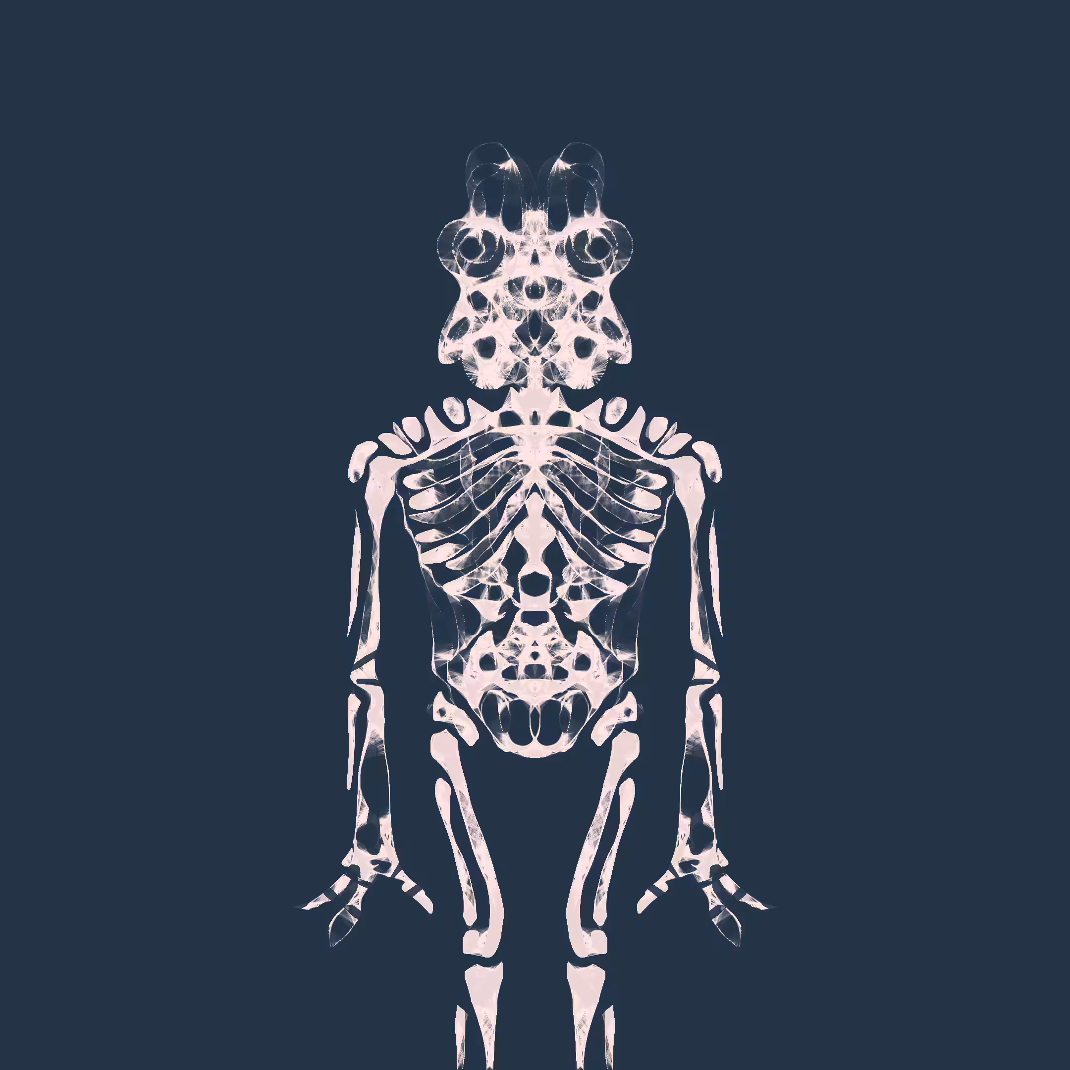 X 010