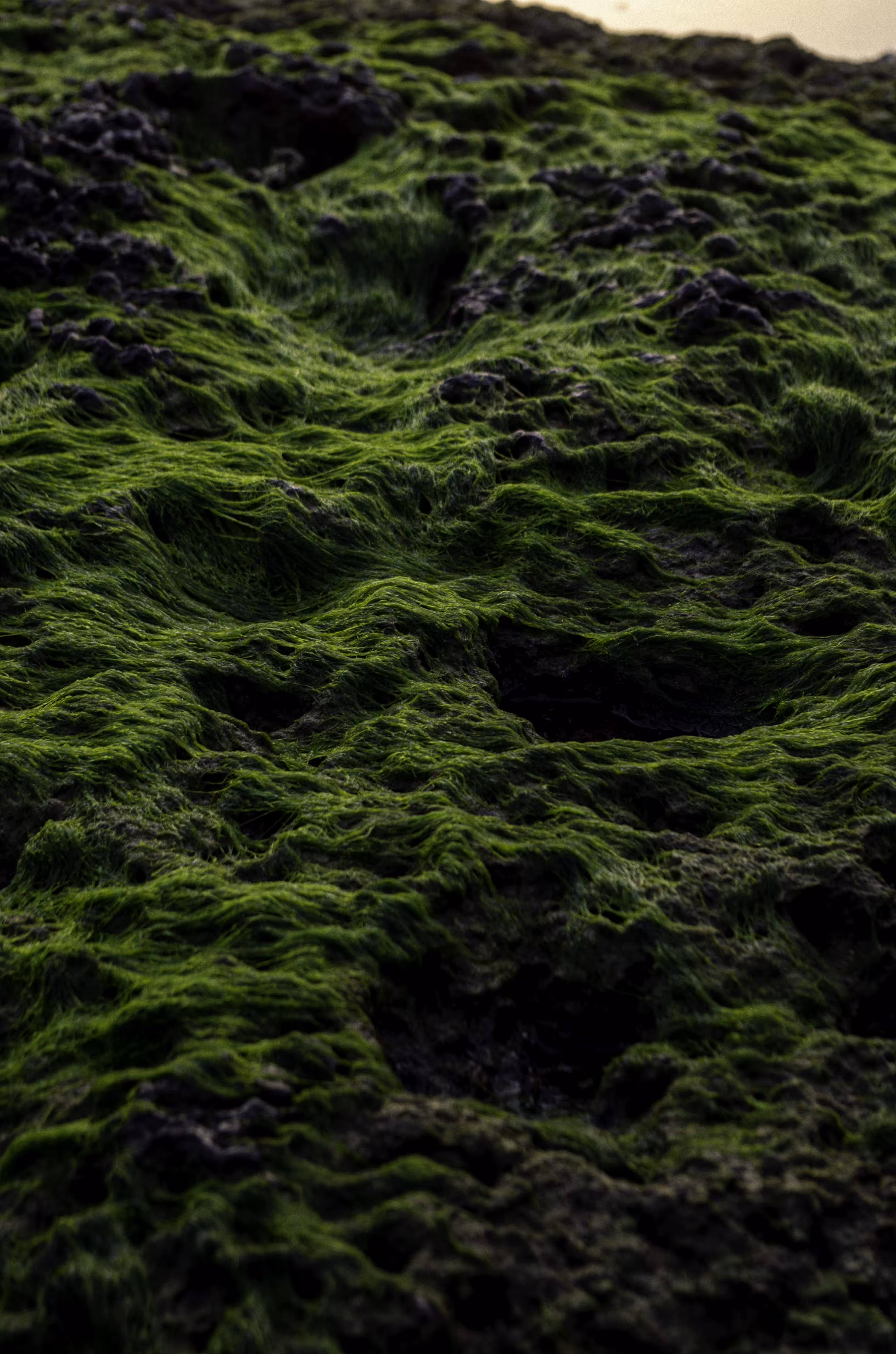 another world